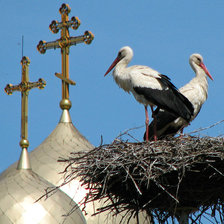 Cross stitch pattern: #881934