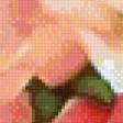 Preview of cross stitch pattern: #881978