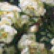Preview of cross stitch pattern: #882126