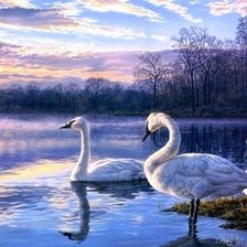 Cross stitch pattern: #883316