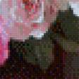 Preview of cross stitch pattern: #883354