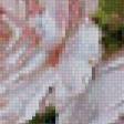 Preview of cross stitch pattern: #883361