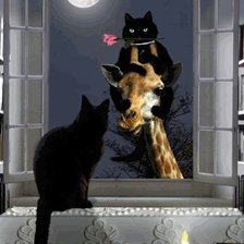 Cross stitch pattern: #883659