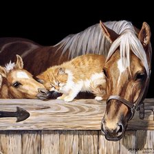 Cross stitch pattern: #883663