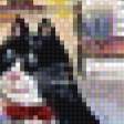 Preview of cross stitch pattern: #883668