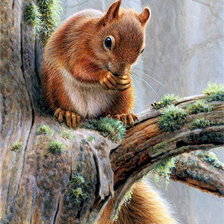 Cross stitch pattern: #883671