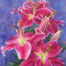 Cross stitch pattern: #883676