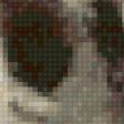 Preview of cross stitch pattern: #883717