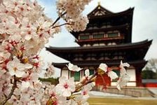 Cross stitch pattern: #883725