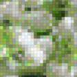 Preview of cross stitch pattern: #884556
