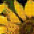 Preview of cross stitch pattern: #884583