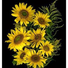 Cross stitch pattern: #884583