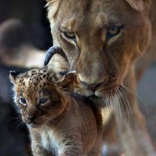 Cross stitch pattern: #885689