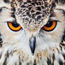 Cross stitch pattern: #886184