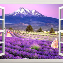 Cross stitch pattern: #886187