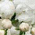 Preview of cross stitch pattern: #886824