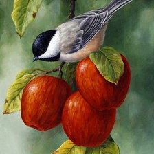 Cross stitch pattern: #887559