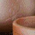 Preview of cross stitch pattern: #887664