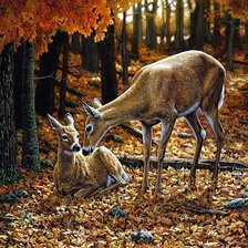 Cross stitch pattern: #888565