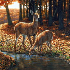Cross stitch pattern: #888566