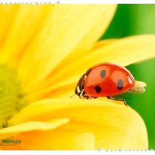 Cross stitch pattern: #888784
