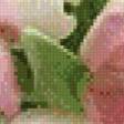 Preview of cross stitch pattern: #888973