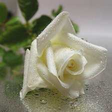 Cross stitch pattern: #889137