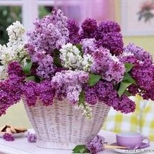 Cross stitch pattern: #889143