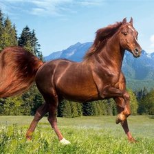 Cross stitch pattern: #889224