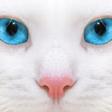 Cross stitch pattern: #889366