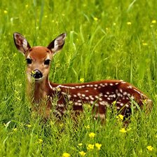 Cross stitch pattern: #889375