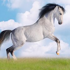 Cross stitch pattern: #889384