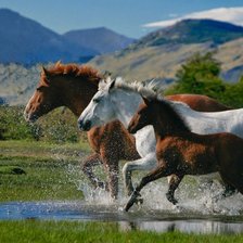 Cross stitch pattern: #889386