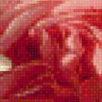 Preview of cross stitch pattern: #889604