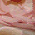 Preview of cross stitch pattern: #889620