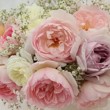 Cross stitch pattern: #889620