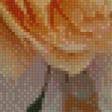 Preview of cross stitch pattern: #889628