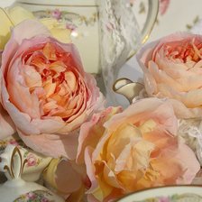 Cross stitch pattern: #889631