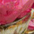 Preview of cross stitch pattern: #889633
