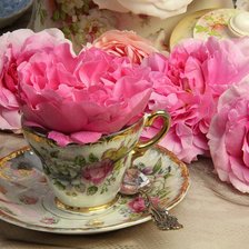 Cross stitch pattern: #889633