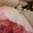 Preview of cross stitch pattern: #889634