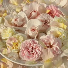 Cross stitch pattern: #889638