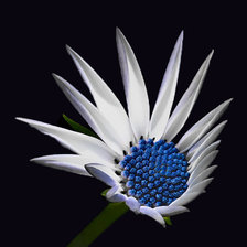 Cross stitch pattern: #889680
