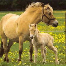 Cross stitch pattern: #890330