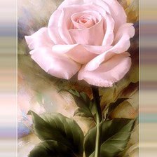 Cross stitch pattern: #891049