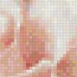 Preview of cross stitch pattern: #891055