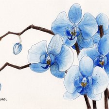 Cross stitch pattern: #891484