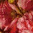 Preview of cross stitch pattern: #891701