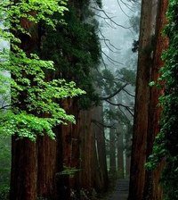 Cross stitch pattern: #891763