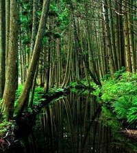 Cross stitch pattern: #891764